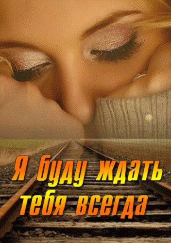 � ���� ����� ���� ������